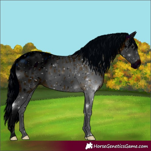 Horse Color:ERROR: UNKNOWN ANOMALY