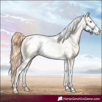 Horse Color:Amber Cream Champagne Pearl Dun Tobiano Frame 