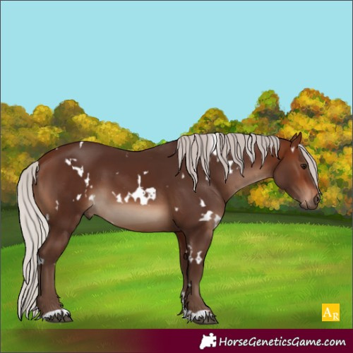 Horse Color:White Spotted Silver Brown 
