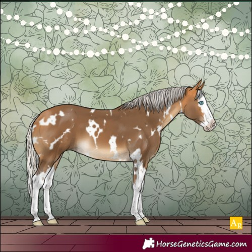 Horse Color:White Spotted Silver Buckskin Splash 