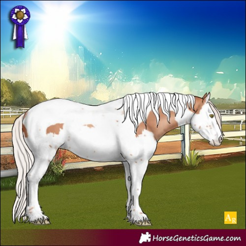 Horse Color:Silver Amber Champagne Splash Tobiano Rabicano 