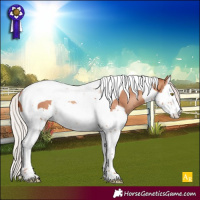 Horse Color:Silver Amber Champagne Splash Tobiano Rabicano