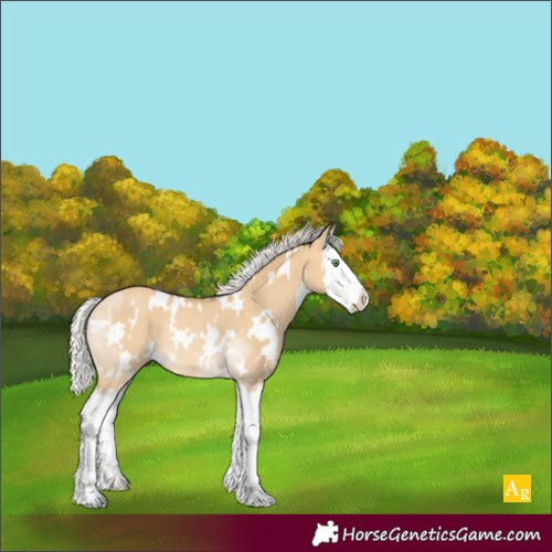 Horse Color:White Spotted Silver Sable Cream Champagne Dun Splash Rabicano 