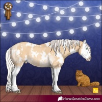 Horse Color:White Spotted Silver Sable Cream Champagne Dun Splash Rabicano