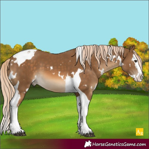 Horse Color:White Spotted Chocolate Palomino Splash Tobiano 