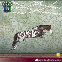 Horse Color:Bay Sabino Appaloosa