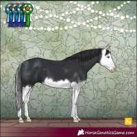 Horse Color:Black Splash