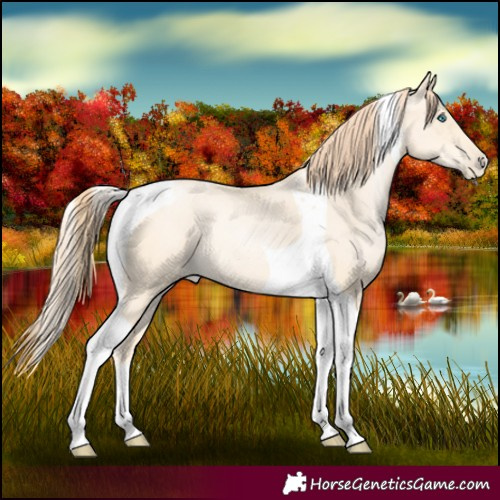 Horse Color:Classic Cream Champagne Pearl Tobiano 