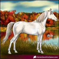Horse Color:Classic Cream Champagne Pearl Tobiano 