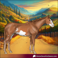 Horse Color:Chestnut Frame