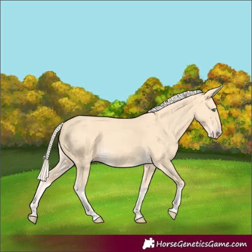 Horse Color:Gold Cream Champagne 