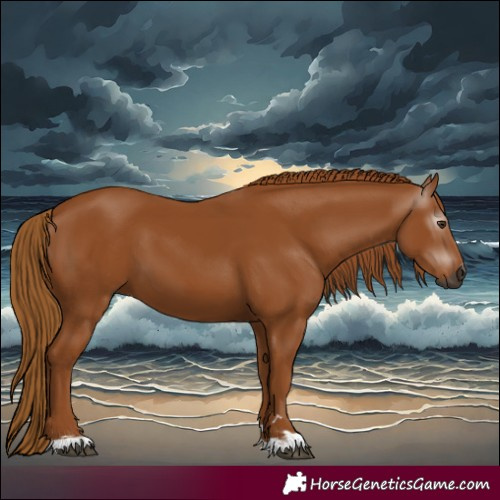 Horse Color:Gray Chestnut 