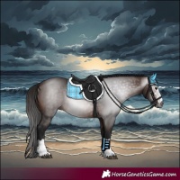 Horse Color:Gray Bay