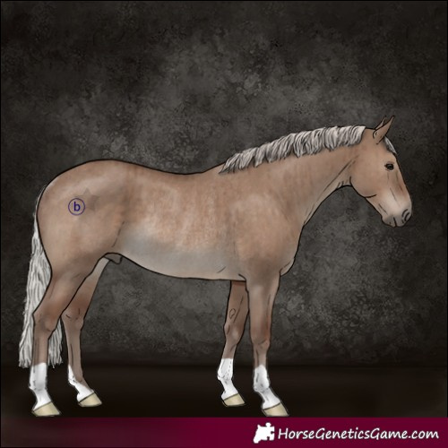 Horse Color:Silver Grullo Rabicano Brindle 