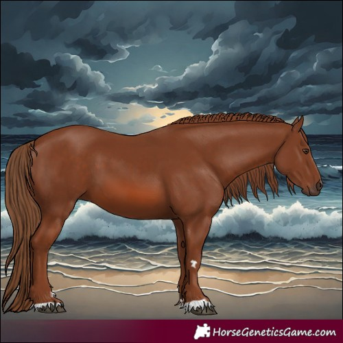 Horse Color:Chestnut 