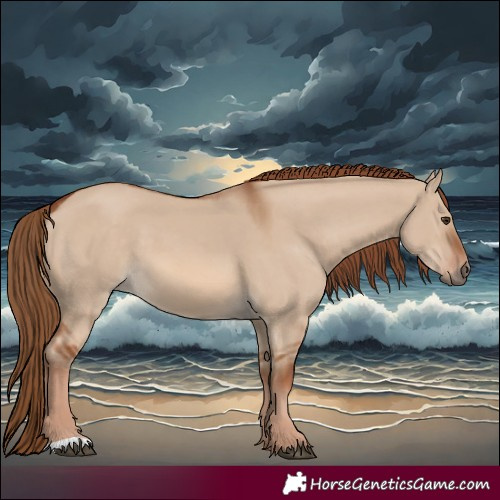 Horse Color:Red Dun 