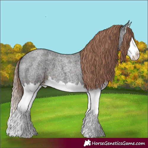 Horse Color:Liver Red Roan Splash 