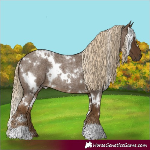 Horse Color:White Spotted Chocolate Palomino Roan 