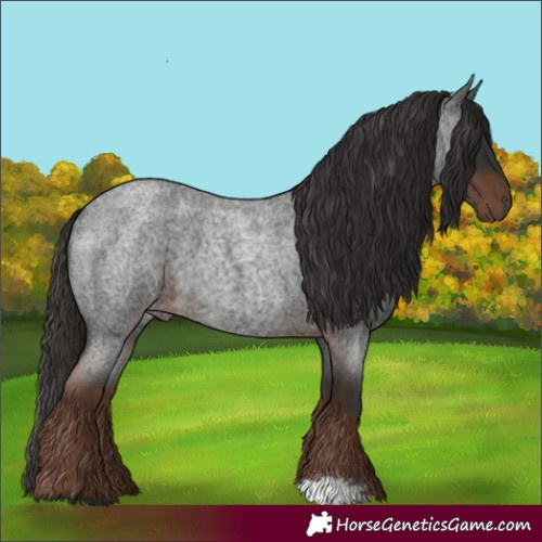 Horse Color:Liver Red Roan 