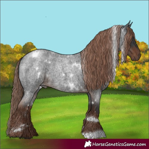Horse Color:White Spotted Liver Red Roan