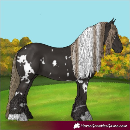 Horse Color:White Spotted Liver Chestnut 