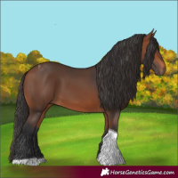 Horse Color:Bay Tobiano 