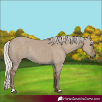 Horse Color:Silver Grullo