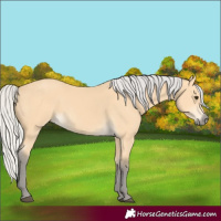 Horse Color:Silver Buckskin