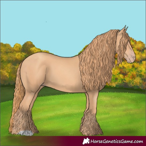 Horse Color:Gold Champagne 