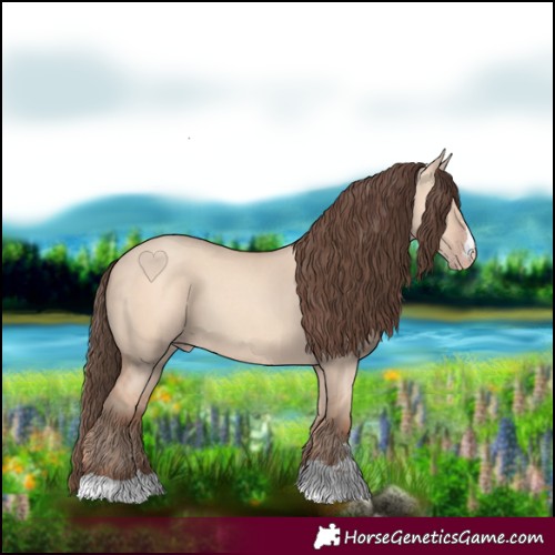 Horse Color:Amber Champagne Dun 