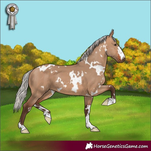 Horse Color:White Spotted Silver Brown Dun 