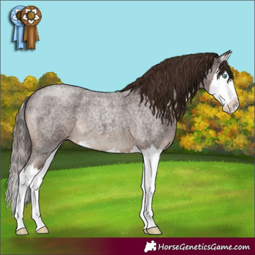 Horse Color:Liver Red Roan Splash 