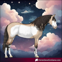 Horse Color:Bay Dun Frame