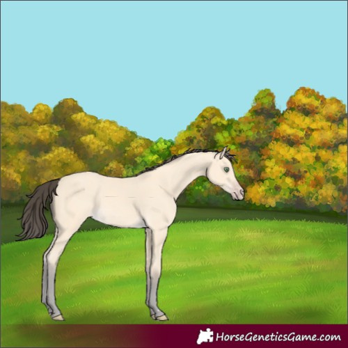 Horse Color:Amber Cream Champagne