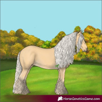 Horse Color:Palomino 