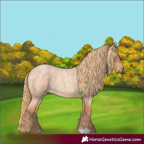 Horse Color:Red Roan