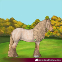 Horse Color:Red Roan 