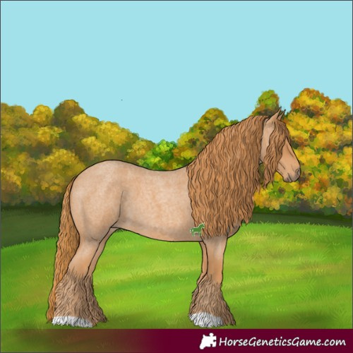 Horse Color:Red Roan 