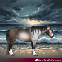 Horse Color:Gray Bay 