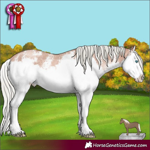 Horse Color:Gold Champagne Mushroom Sabino Splash 