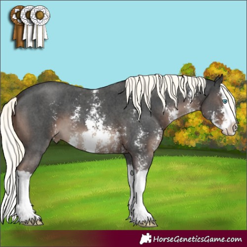 Horse Color:Liver Chestnut Mushroom Sabino Splash 