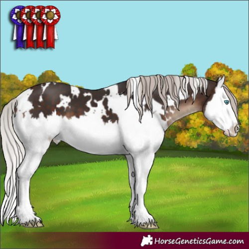 Horse Color:White Spotted Silver Brown Splash 