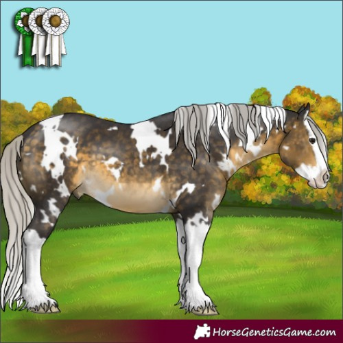 Horse Color:White Spotted Silver Buckskin Splash
