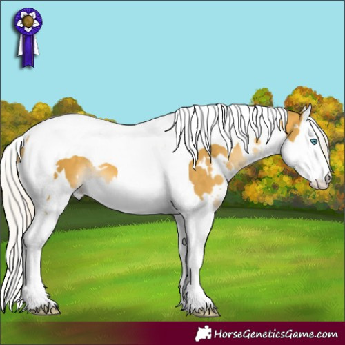 Horse Color:White Spotted Silver Sable Cream Champagne Mushroom Splash Tobiano 