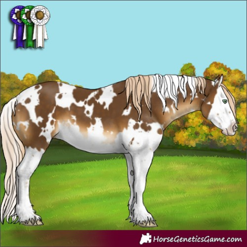 Horse Color:White Spotted Chocolate Palomino Mushroom Splash