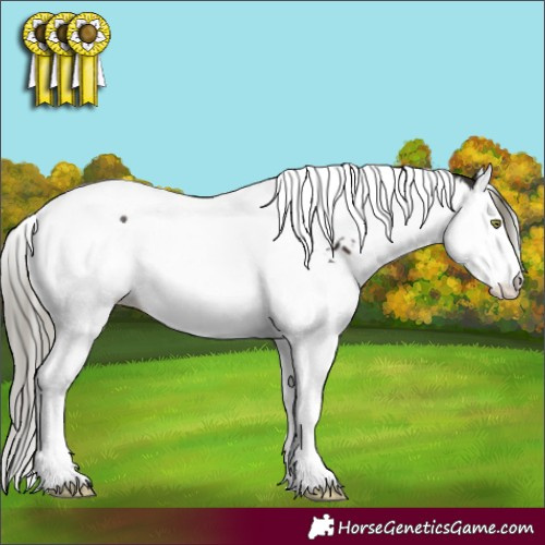 Horse Color:White Spotted Liver Chestnut Mushroom Splash Tobiano 