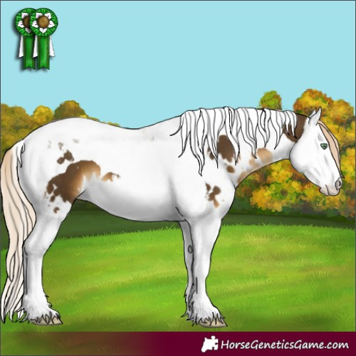 Horse Color:White Spotted Chocolate Palomino Mushroom Splash Tobiano 