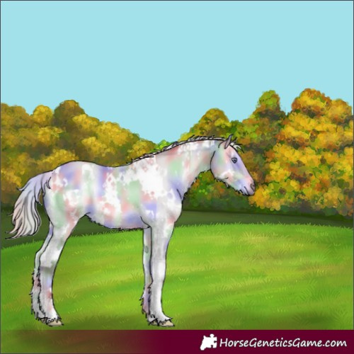 Horse Color:Nacre White Spotted Chocolate Silver Bay Chinchilla Onyx 