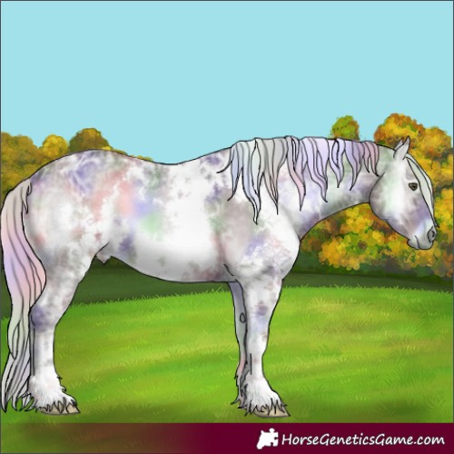Horse Color:Nacre White Spotted Chocolate Silver Blue Onyx Chinchilla Ice 