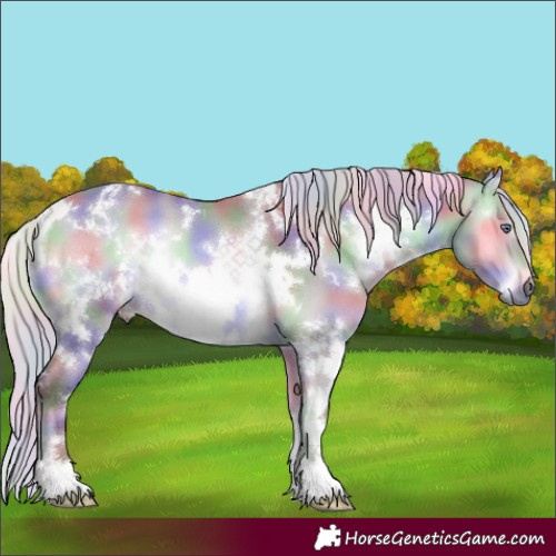 Horse Color:Nacre White Spotted Chocolate Silver Bay Chinchilla Onyx 